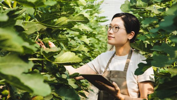 futuremakers-lady-gardening