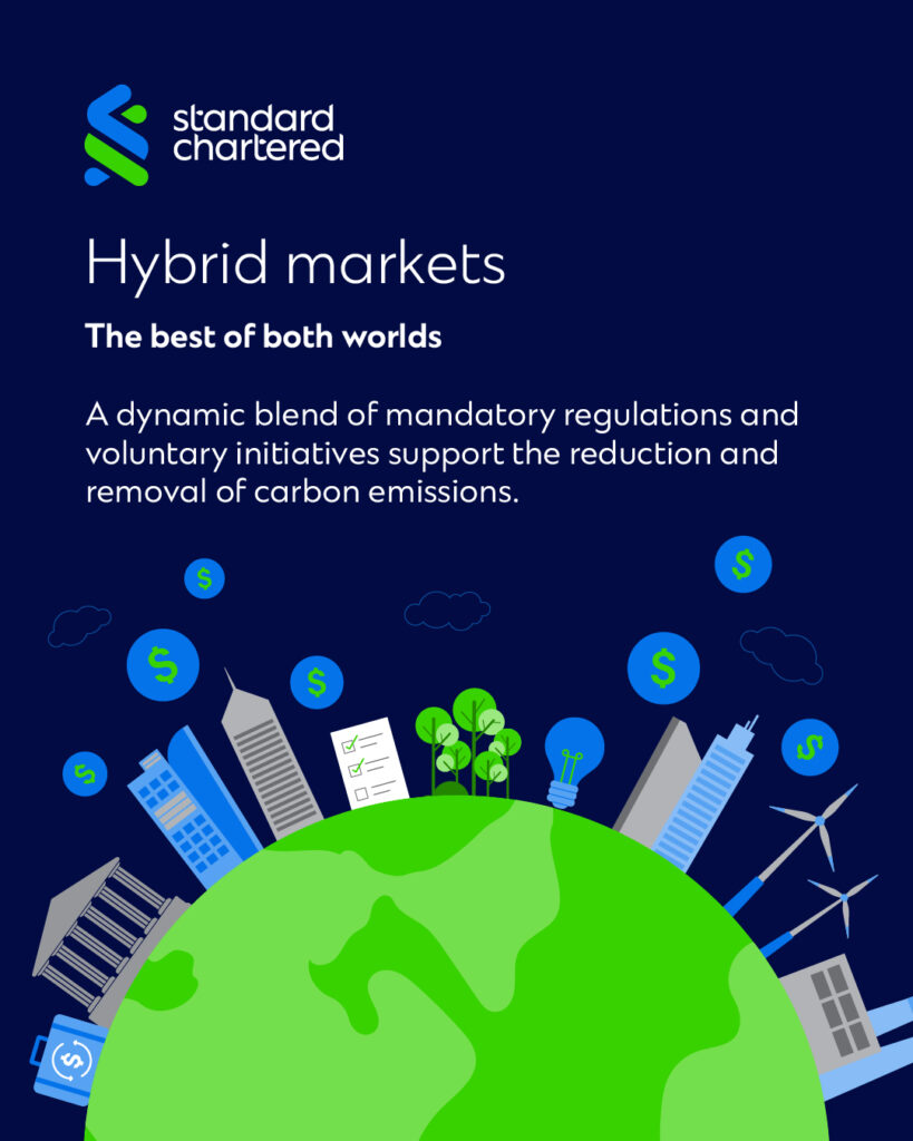 infographic on the topic of carbon markets