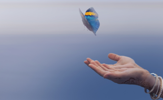 Butterfly and hands