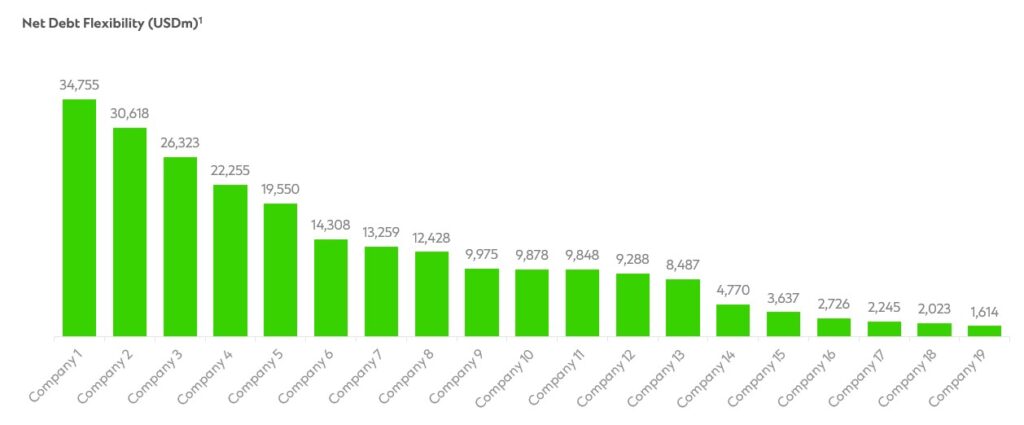 Bar chart illustrating net debt flexibility