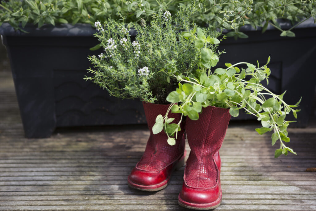 Apparel, Clothing, Footwear