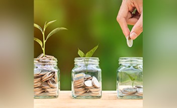 Jar, Plant, Potted Plant