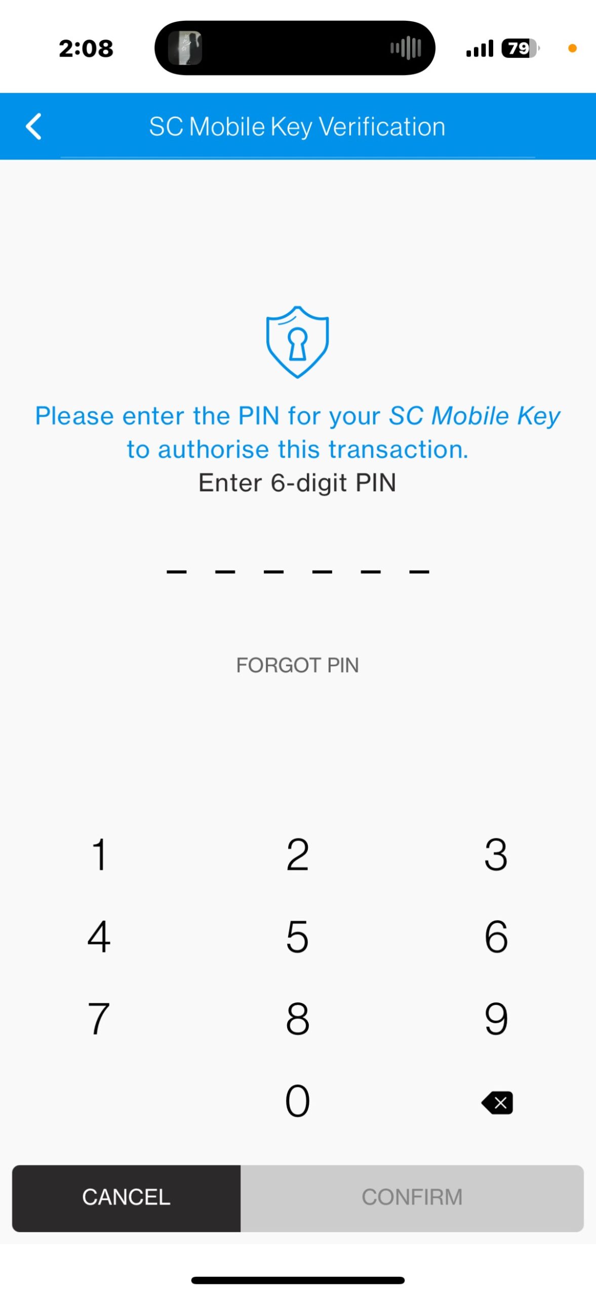 Enter your 6-digit PIN