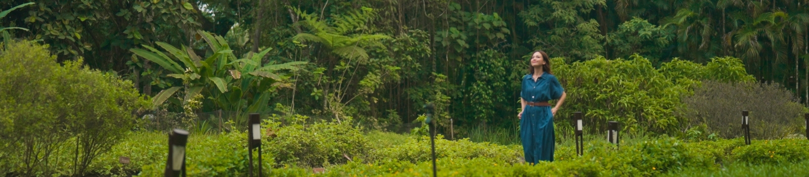 wellness-Banner