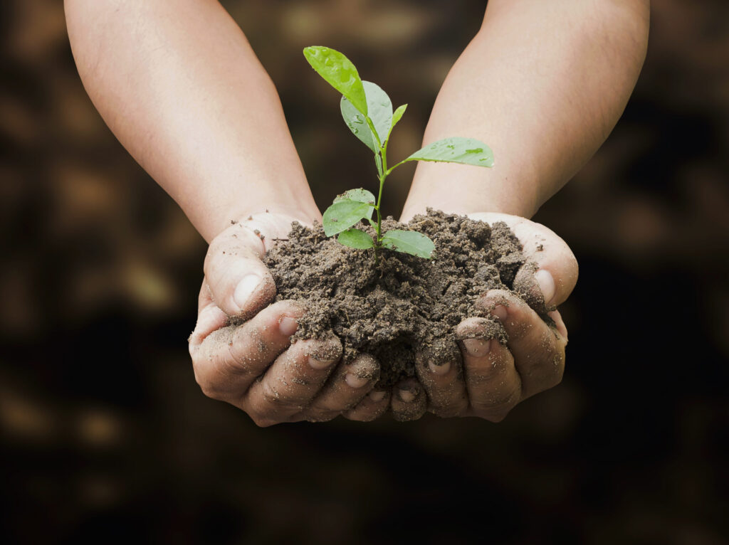 Sustainability