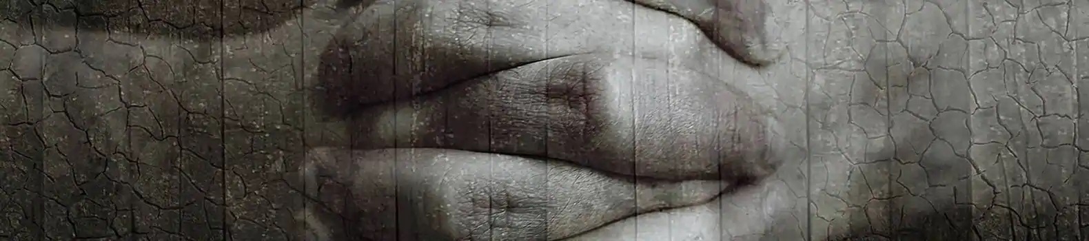 各種申請表格實用文件