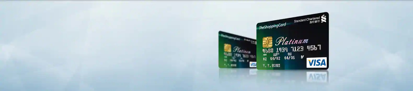 The Shopping Saving Card