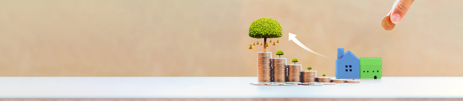 Plant, Tree, Money