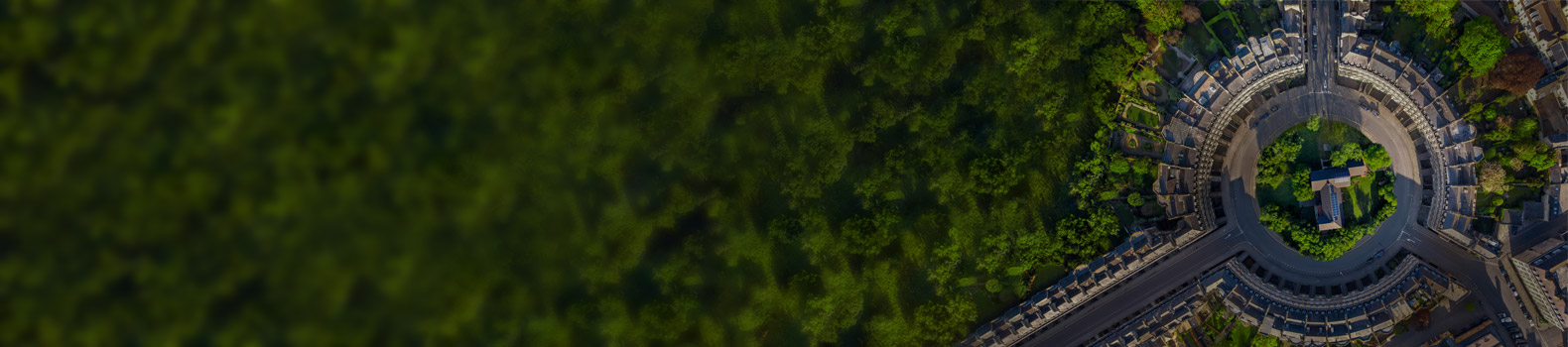 Bush, Vegetation, Plant