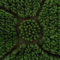 sustainable-aug
