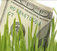 Capital Management