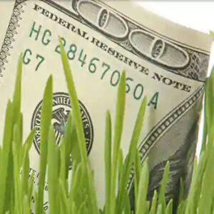 Capital Management