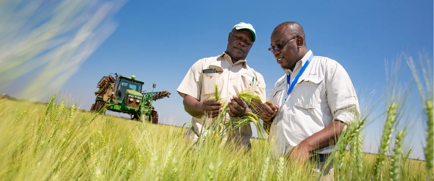 Two farmers on the field
