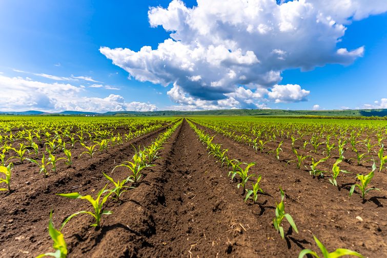 farms in Bangladesh