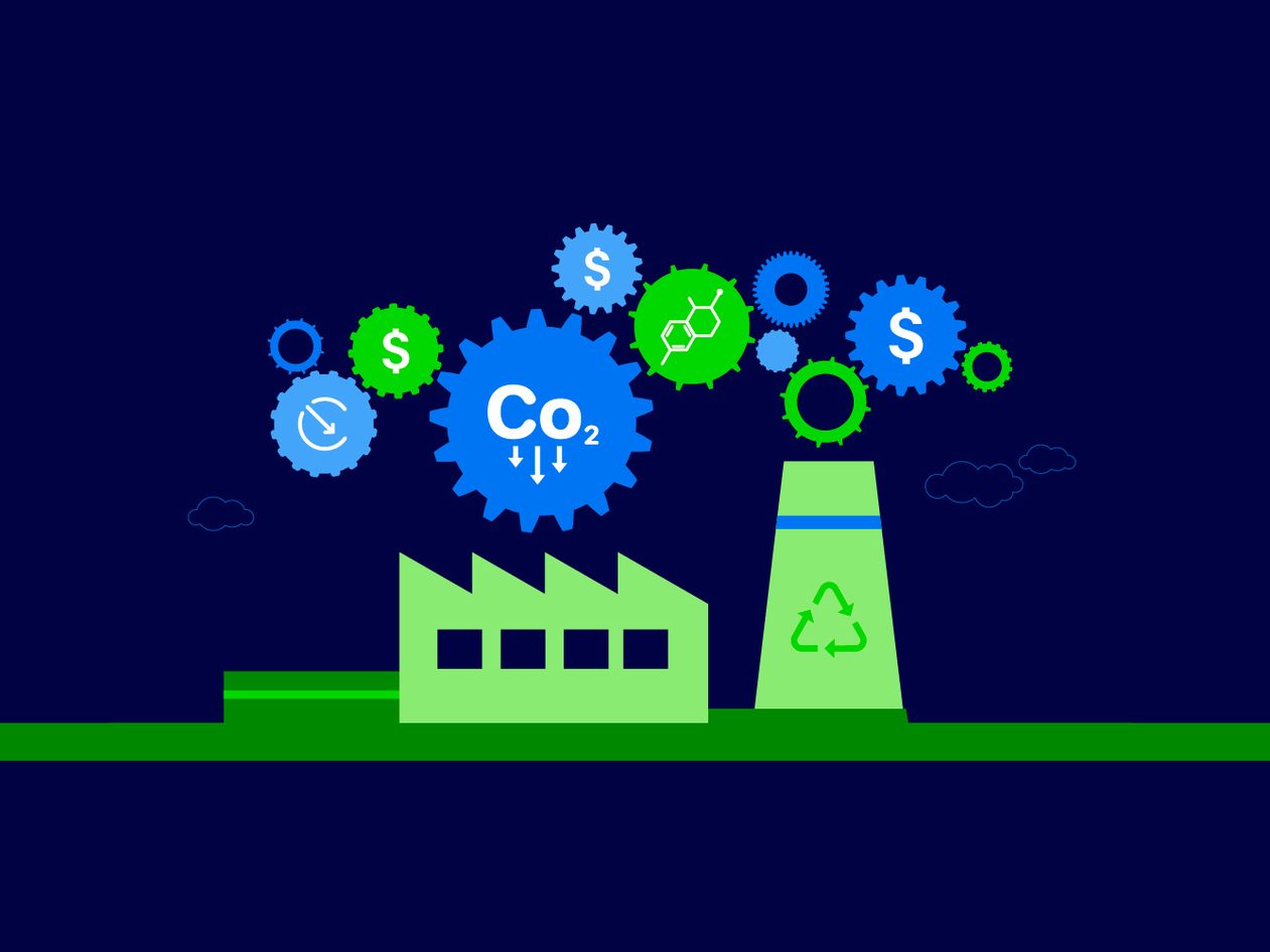 carbon markets infographic image