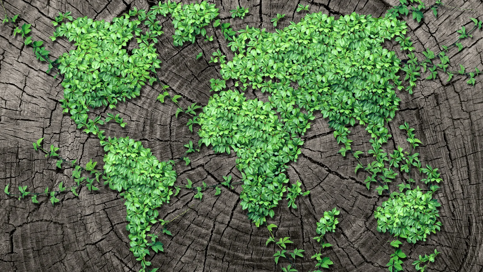 ASEAN Leading the charge on building sustainable supply chains masthead scaled