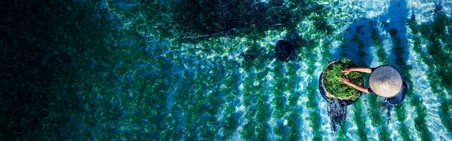 woman in the ocean