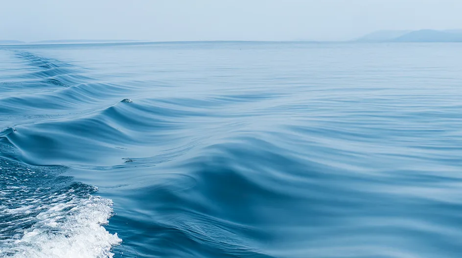 Blue economy report