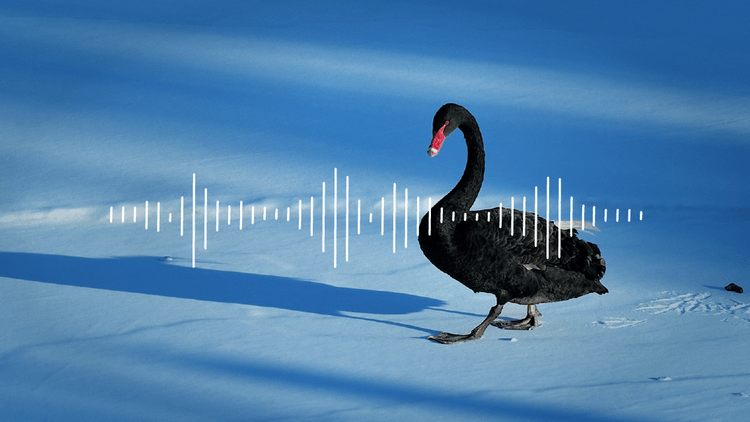 Financial Market Surprises podcast cover image