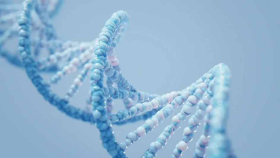 DNA molecules