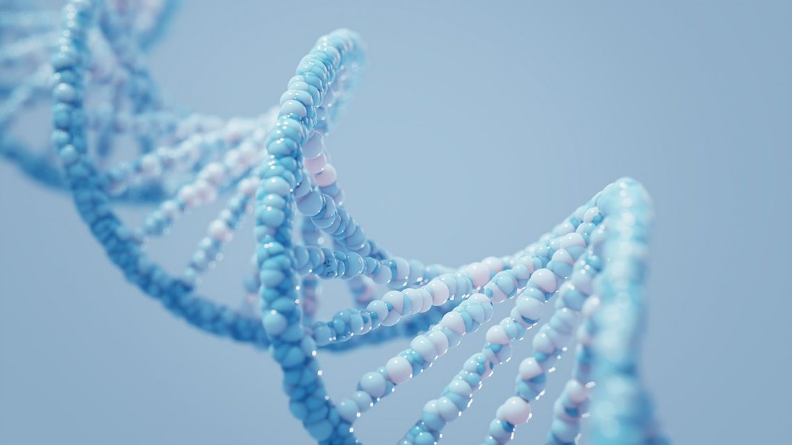 DNA molecules