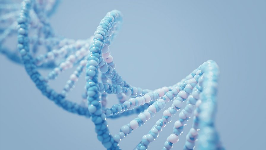 DNA molecules