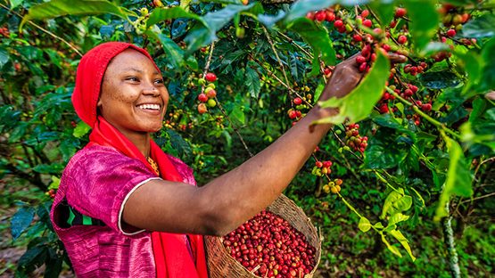 Can sustainable finance help