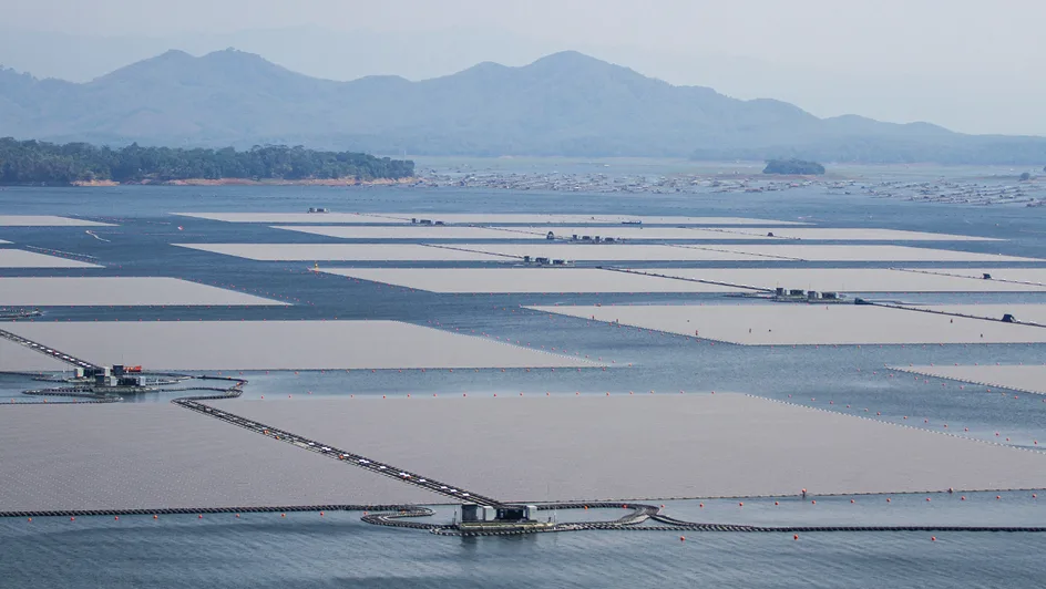 Floating solar panels on a lake in Indonesia.