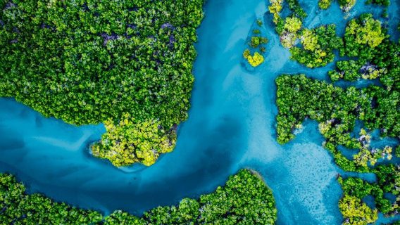 Green Economy river