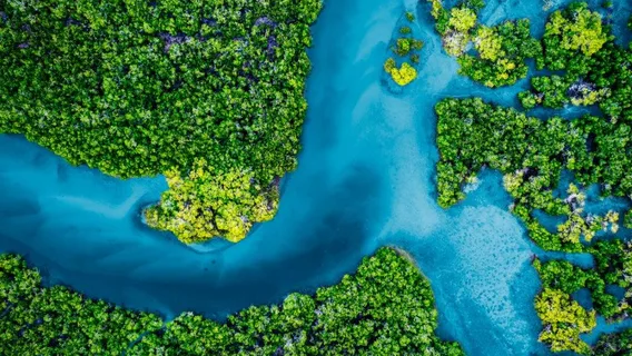 Green Economy river
