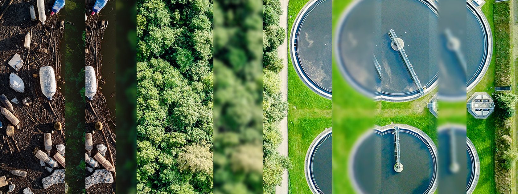 Transition to being more sustainable