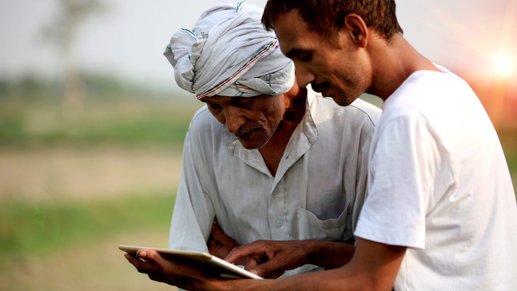 Farmers check their crops and review an Ipad