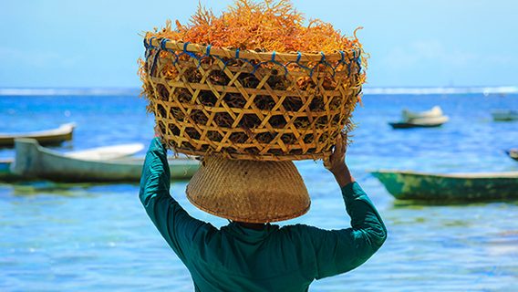 woman with a basket