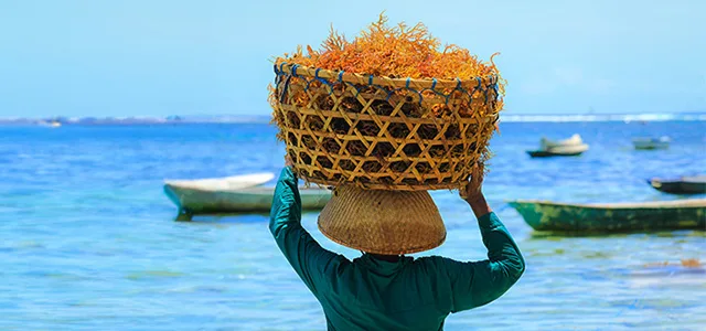 woman with a basket