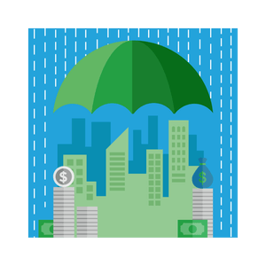 Mitigating Risk in Developing BR Markets