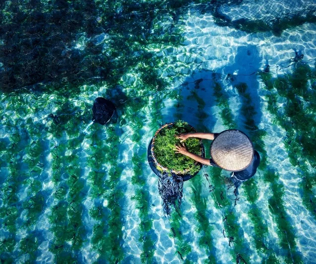 ocean