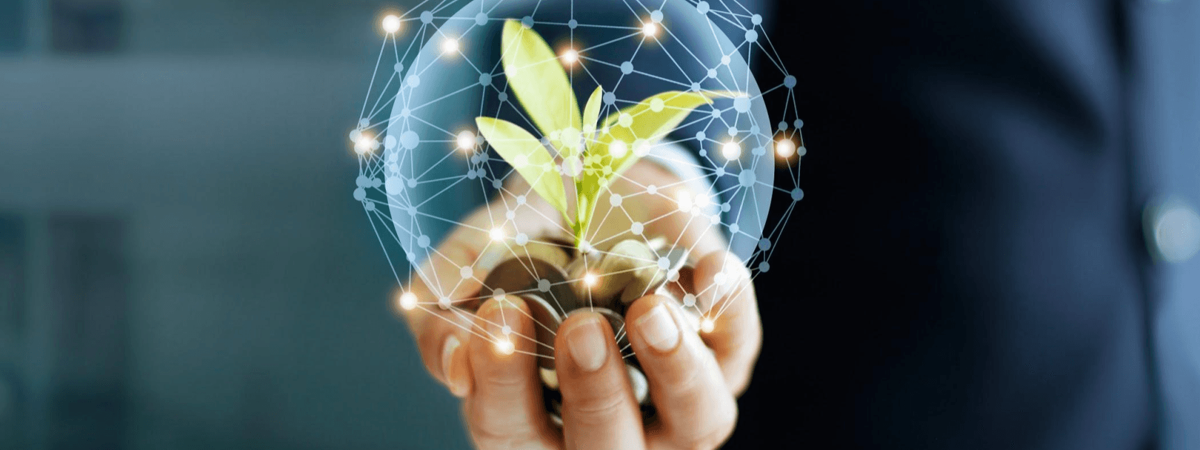 Plant growing in cupped hand