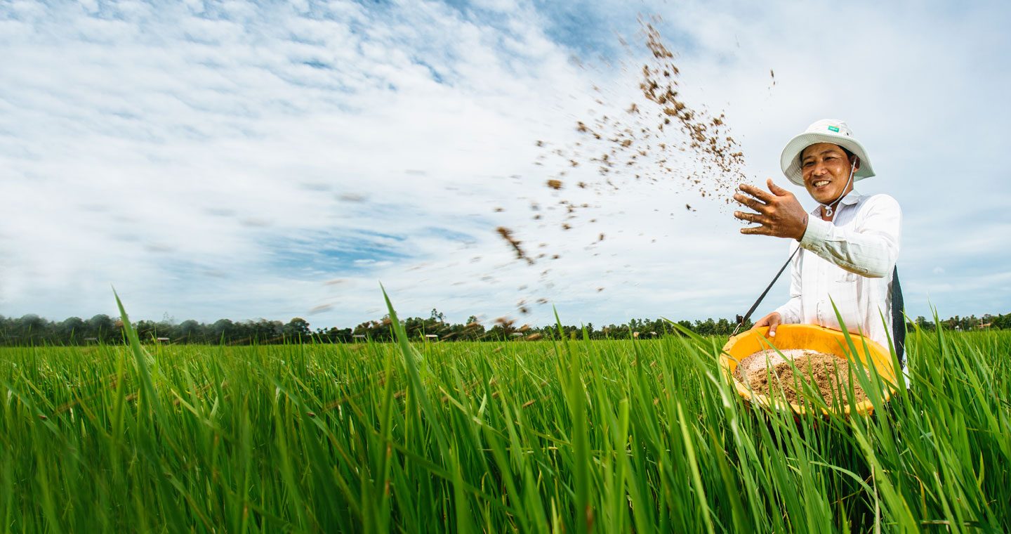 Vietnamese farmer in field