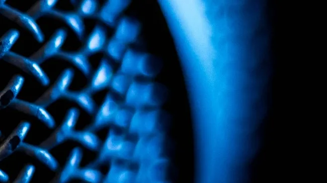 macro image of microphone