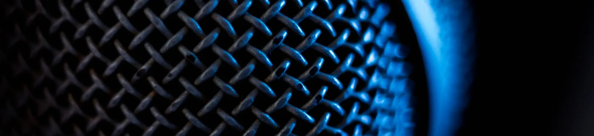 macro image of microphone
