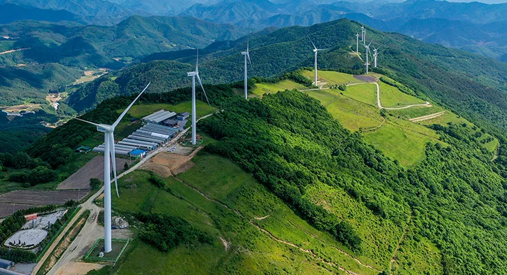 windmills