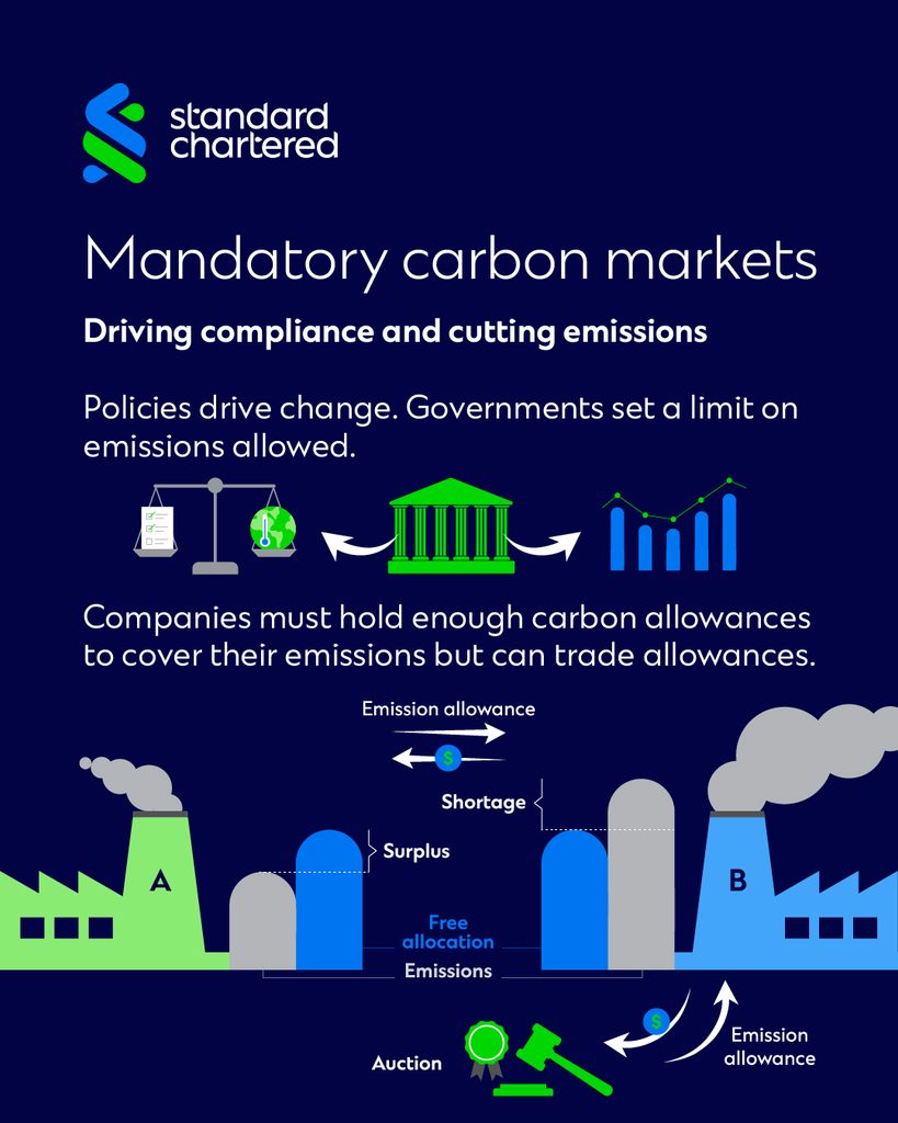 infographic on driving compliance in carbon markets