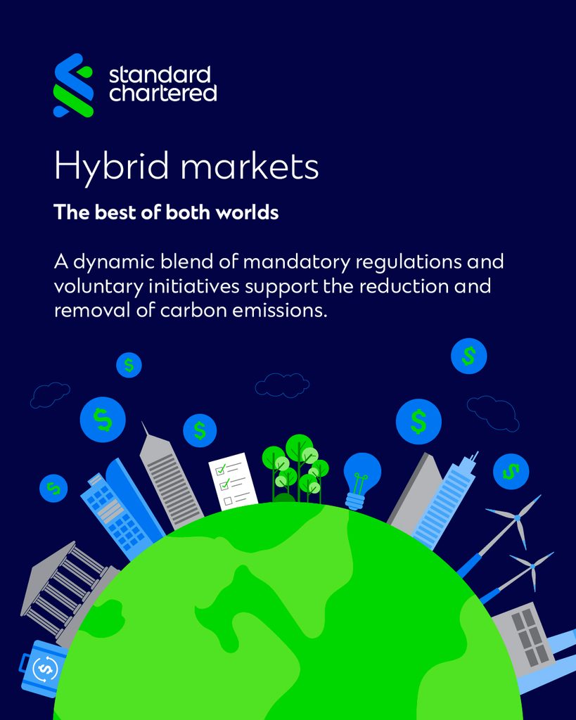 infographic on the topic of carbon markets