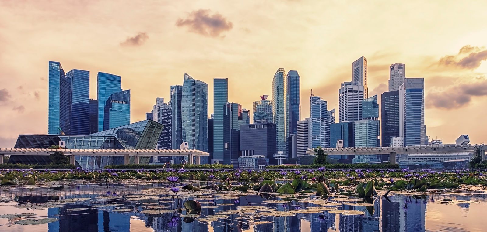 Singapore Global Hub