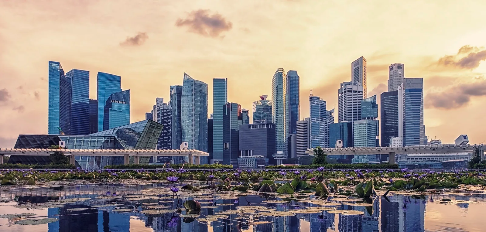 Singapore Global Hub