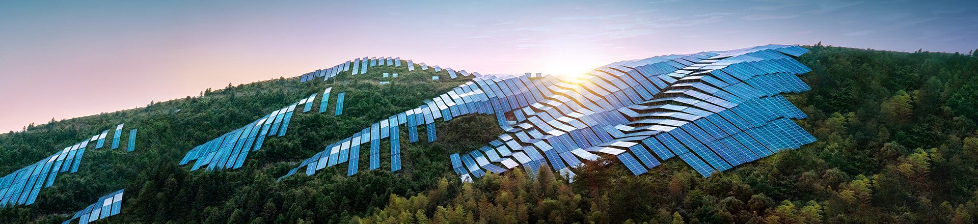 Sunlight hits a hill of solar panels