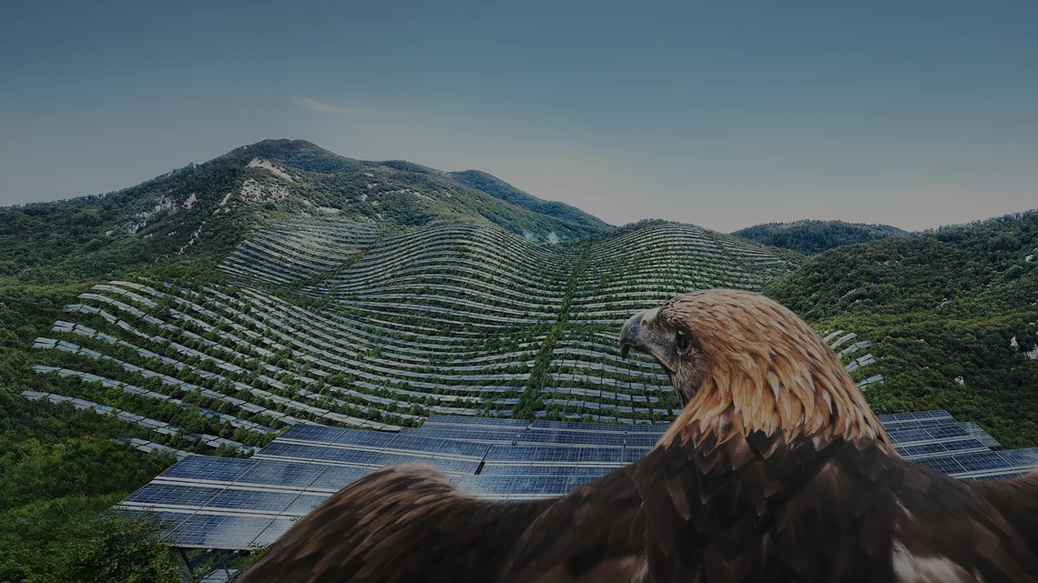 Sustainable finance