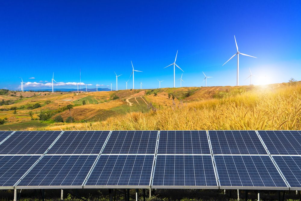 Wind turbines in a field of grass depicting sustainability