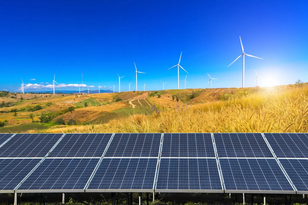 Wind turbines in a field of grass depicting sustainability