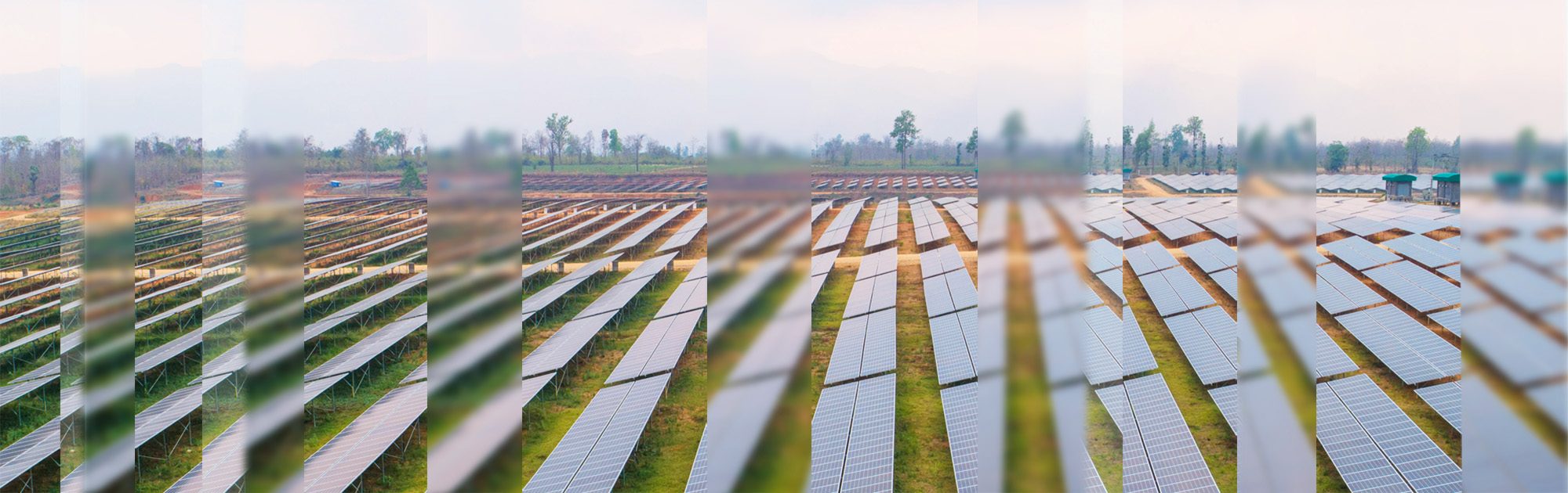 solar farm